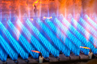 Buckpool gas fired boilers